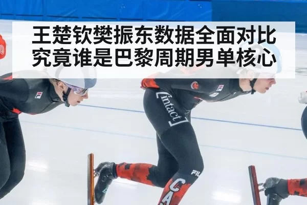 王楚钦樊振东数据全面对比究竟谁是巴黎周期男单核心